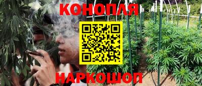 сатива Ипатово
