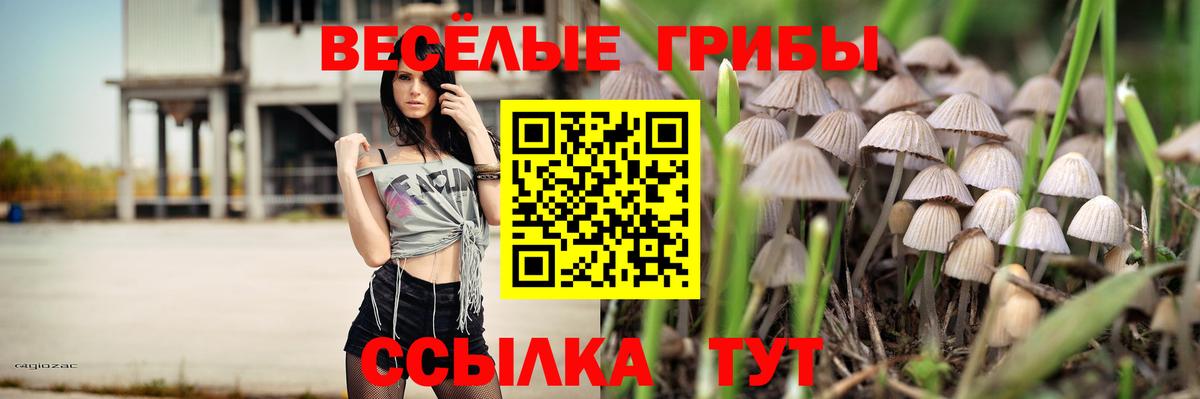 Галлюциногенные грибы ЛСД Минеральные Воды